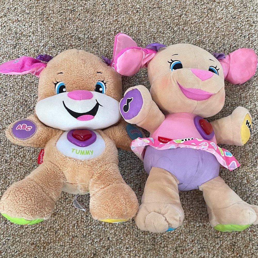Dog and Bunny Music and Talking Stuffed Animals